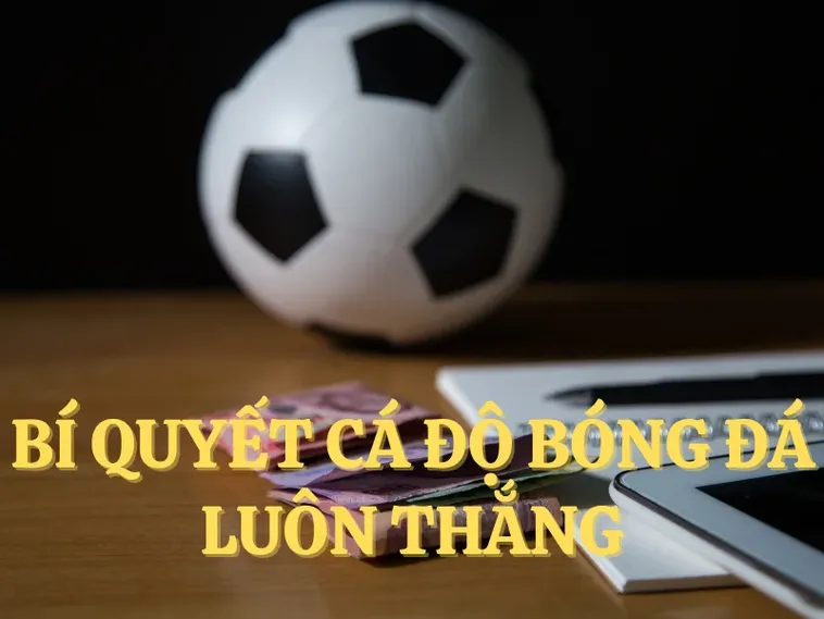 Khám Phá Sức Hút Bóng Đá ABC8: Hành Trình Đam Mê Bùng Nổ